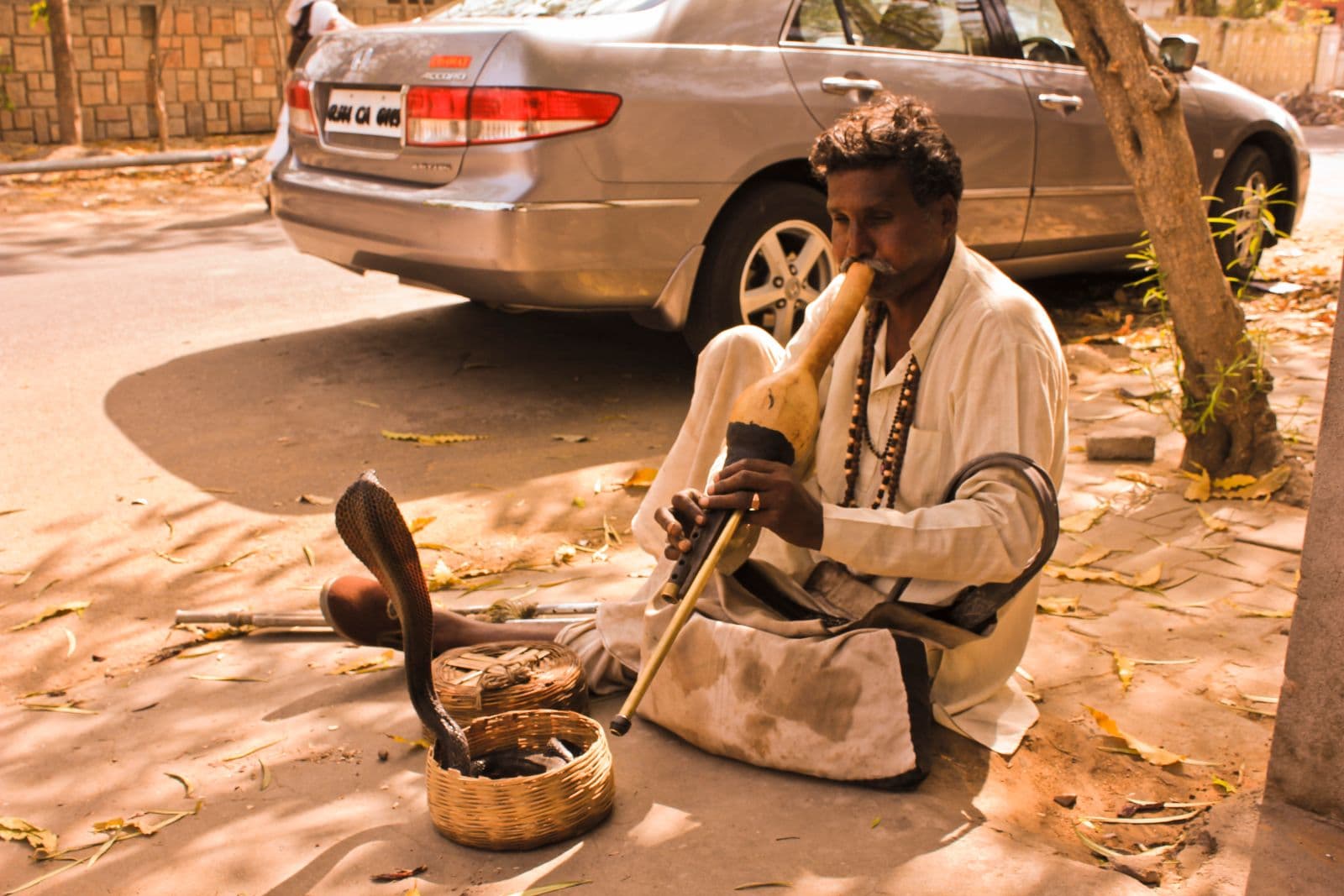 The Snake Charmers