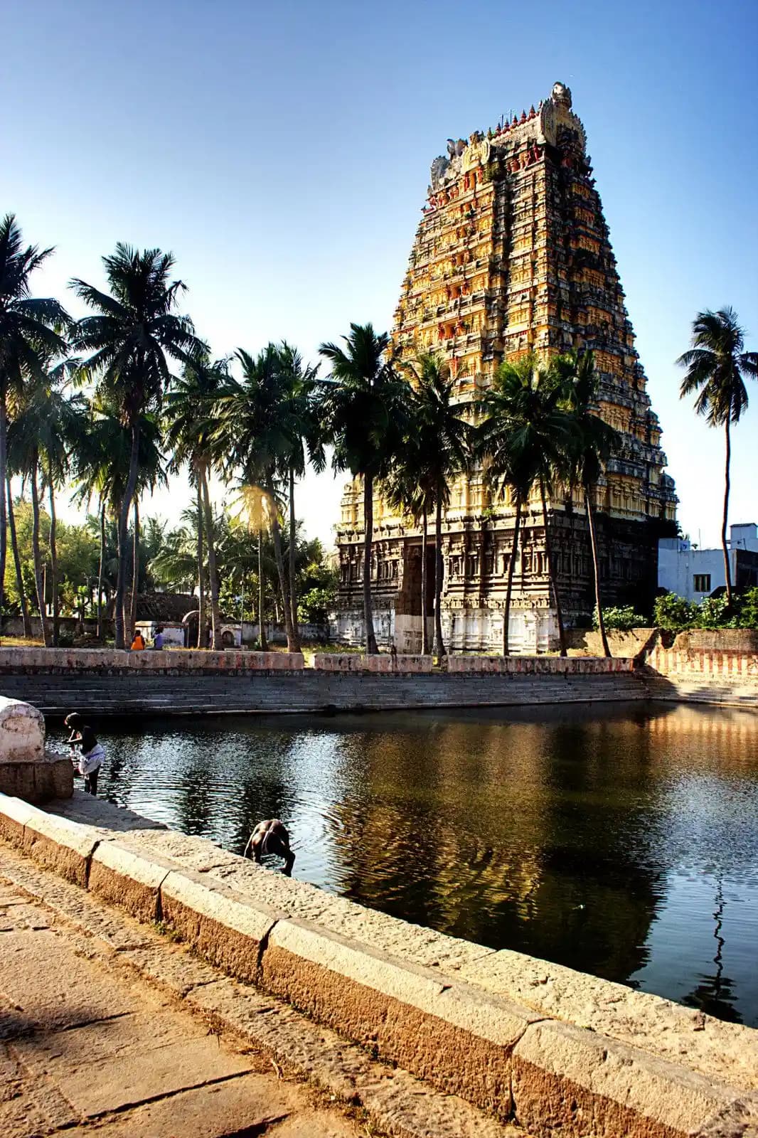 Vedagiriswarar Temple: A Unique Marvel